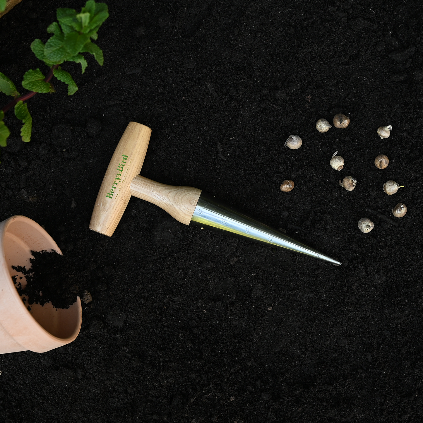 Stainless Steel Hand Dibber