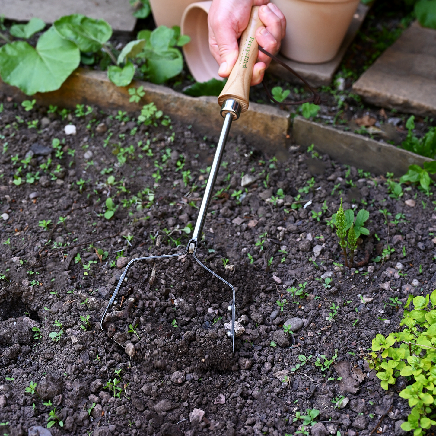 Stainless Steel Hand Oscillating Hoe