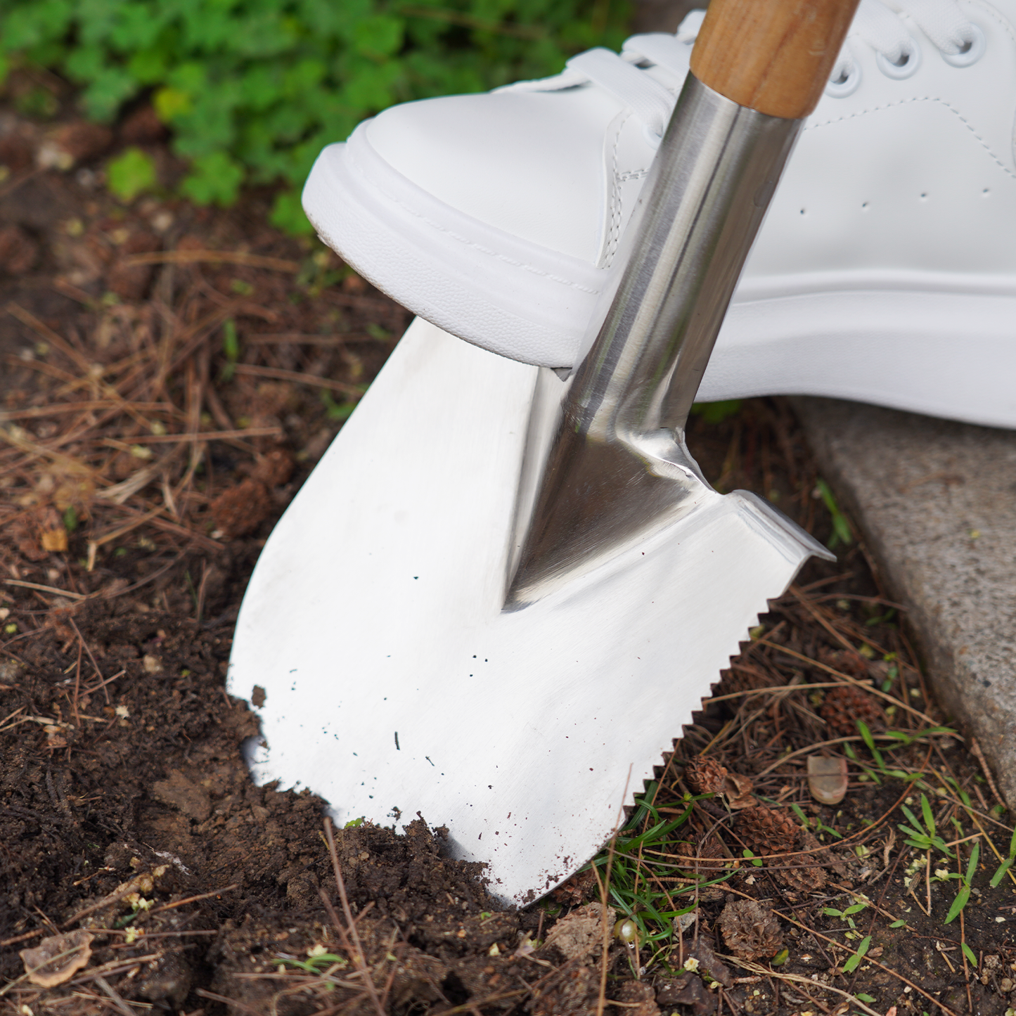 Stainless Steel Hand Shovel