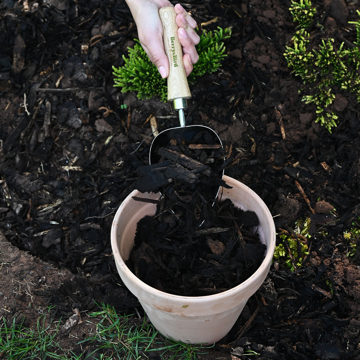 Stainless Steel Heart Shaped Hand Potting Scoop