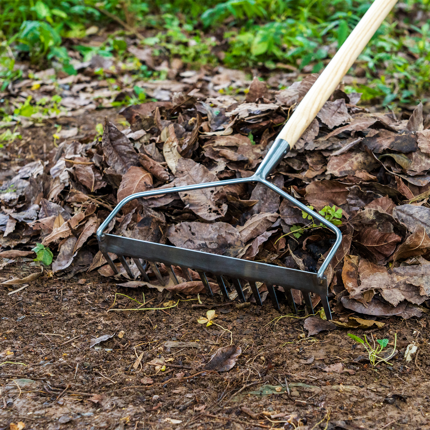 Stainless Steel Long Handle Soil Rake