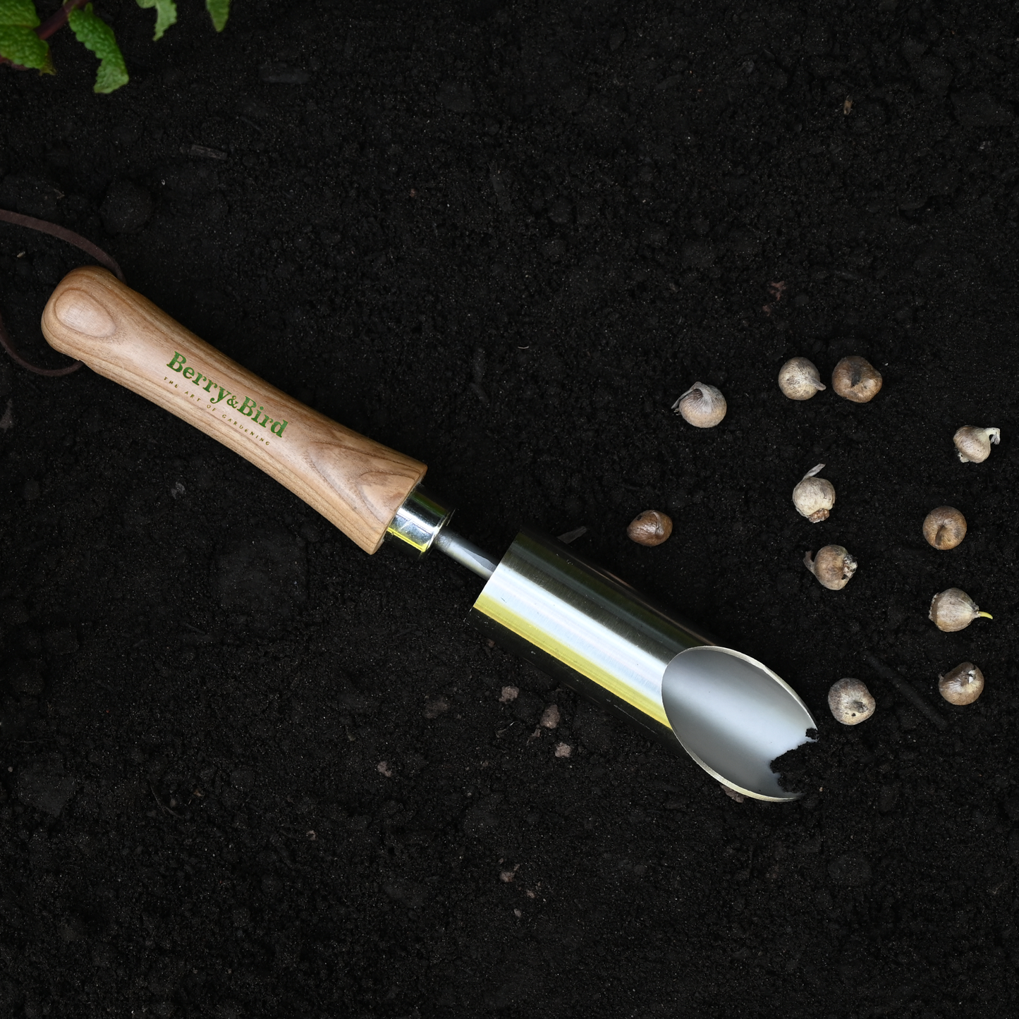 Stainless Steel Small Bulb Planter