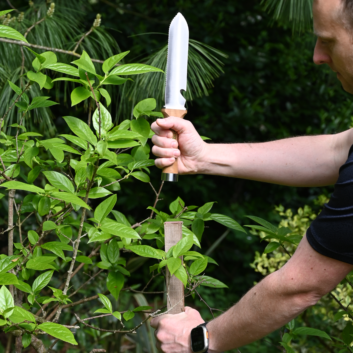 Garden Pruning Saw