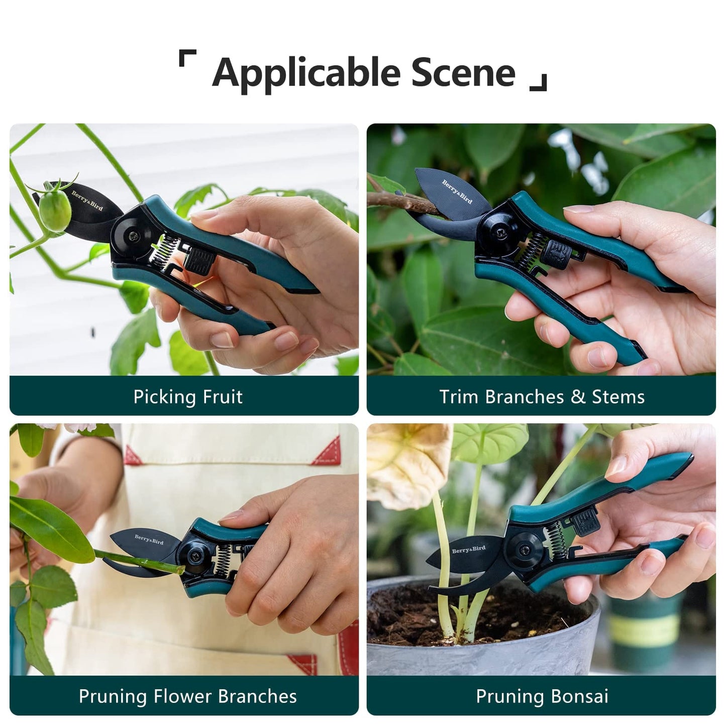 Garden Tool Set 4 PCS Stainless Steel Gardening Tool Kit (Hand Trowel, Hand Fork, Pruning Shears, Gardening Gloves)