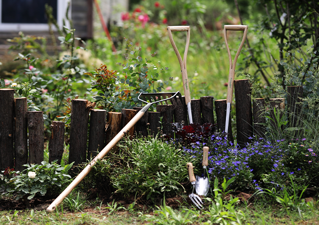 Garden tools & gardening supplies for keen gardeners | Berry&Bird