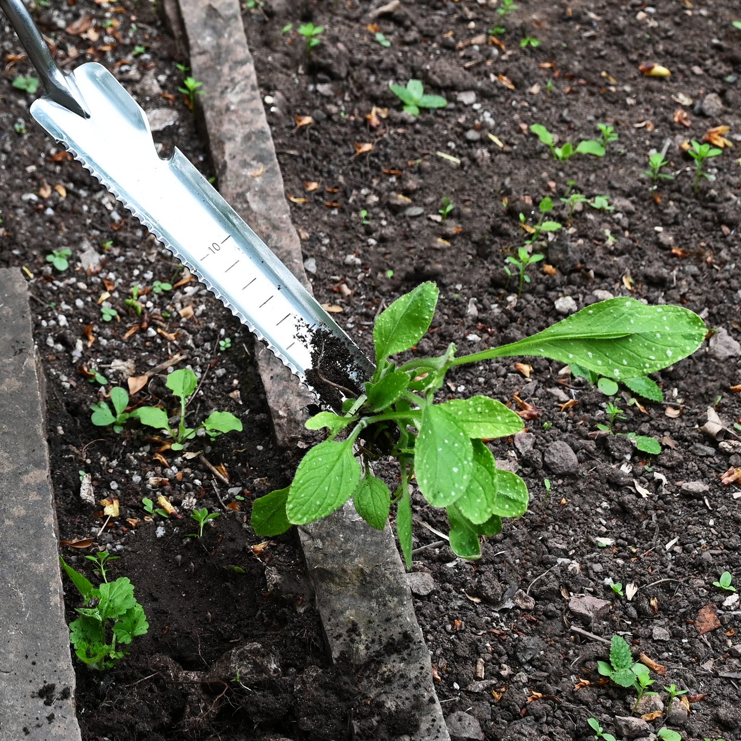 Stainless Steel 5-in-1 Hand Multi Weeder
