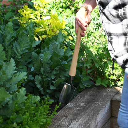 Stainless Steel Border Hand Trowel