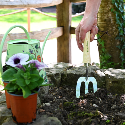 Stainless Steel Hand Fork