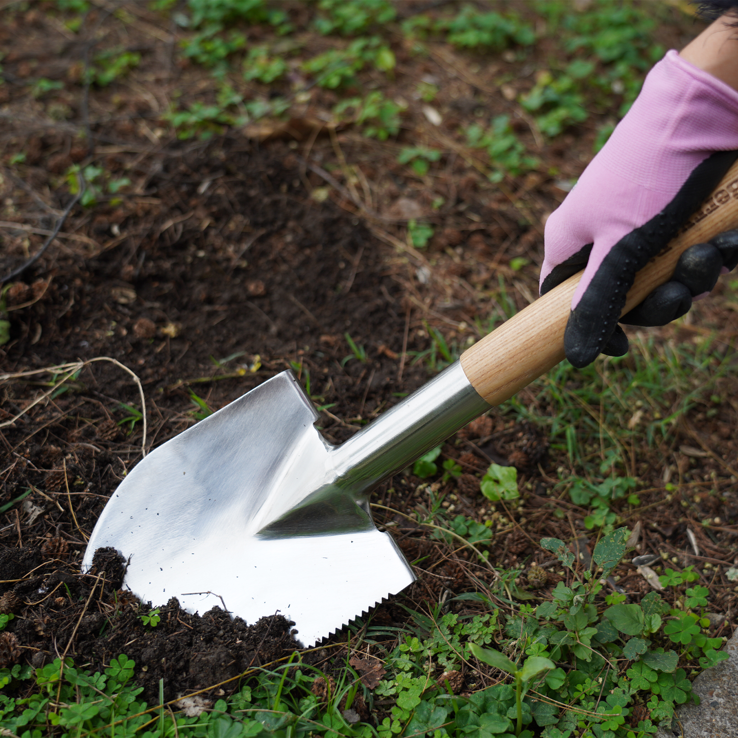 Stainless Steel Hand Shovel