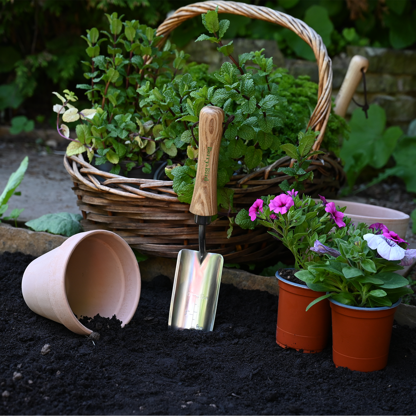 Stainless Steel Hand Transplanting Trowel