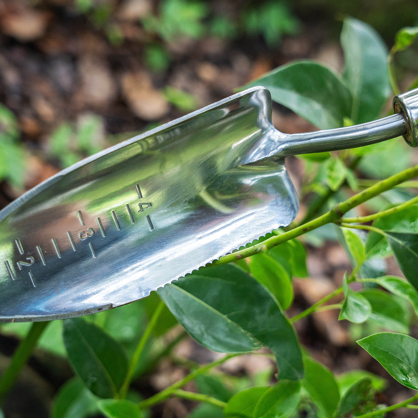 Stainless Steel Pointed Transplanting Trowel