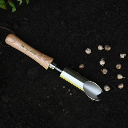 Stainless Steel Small Bulb Planter